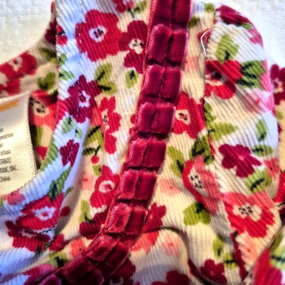 Gymboree girls size 2T Cozy Owl light weight corduroy shirt, 1 spot - Picture 4 of 6